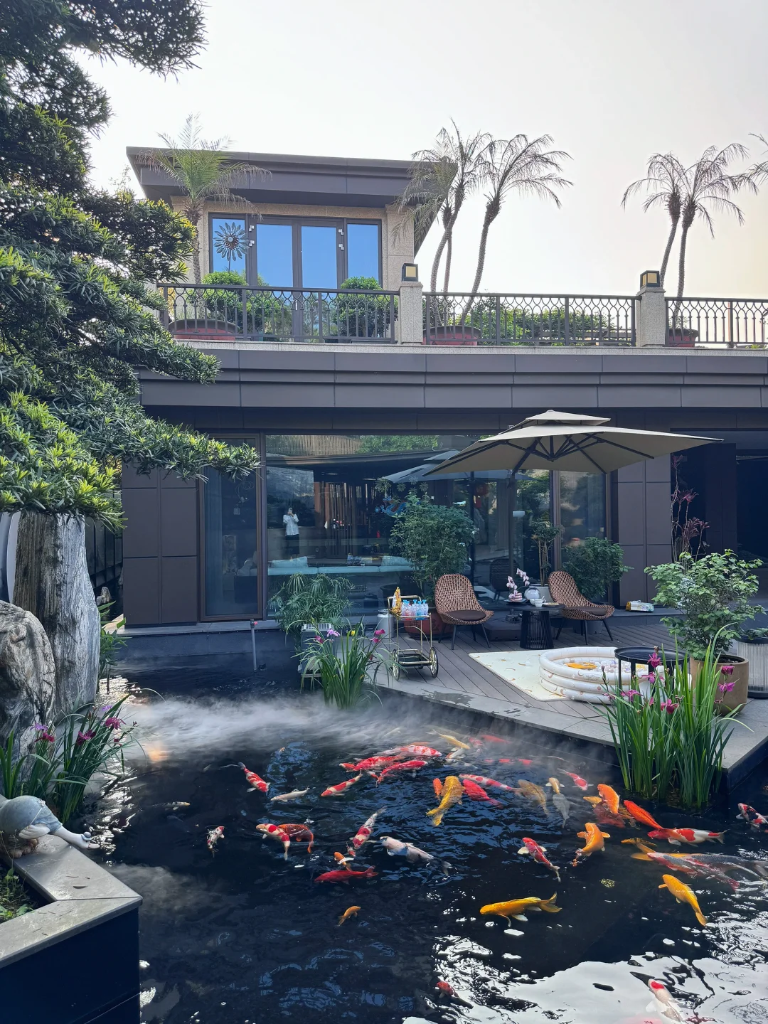我家庭院的年度18图🏡