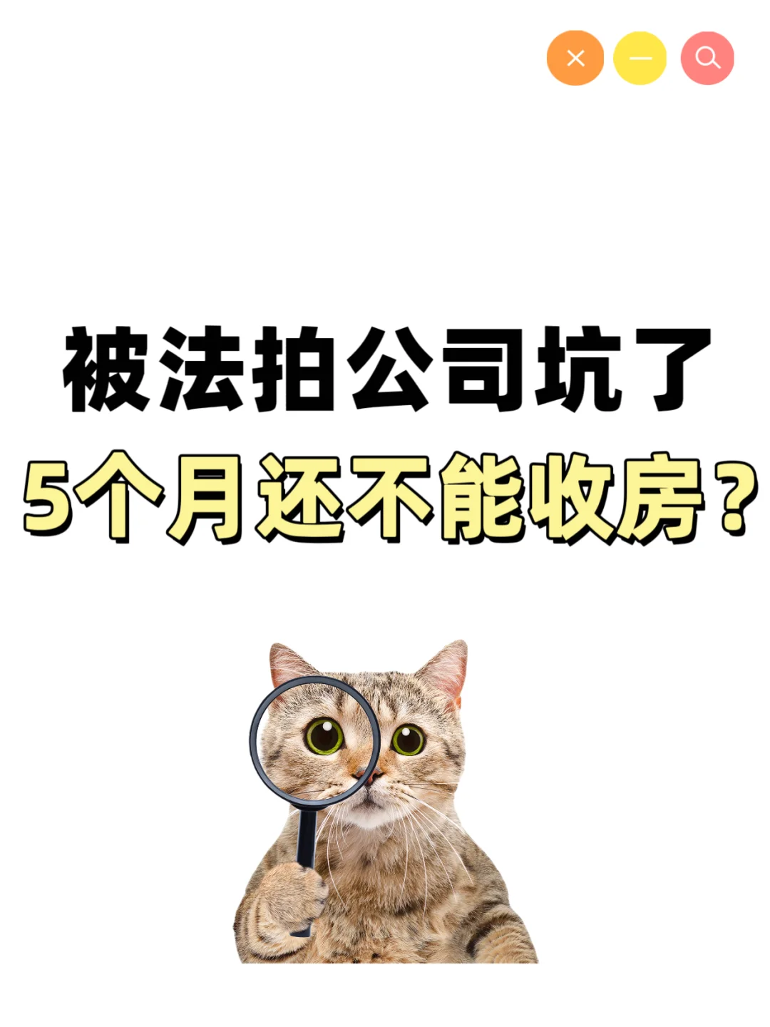 被法拍公司坑了！说好的捡漏结果高价接盘