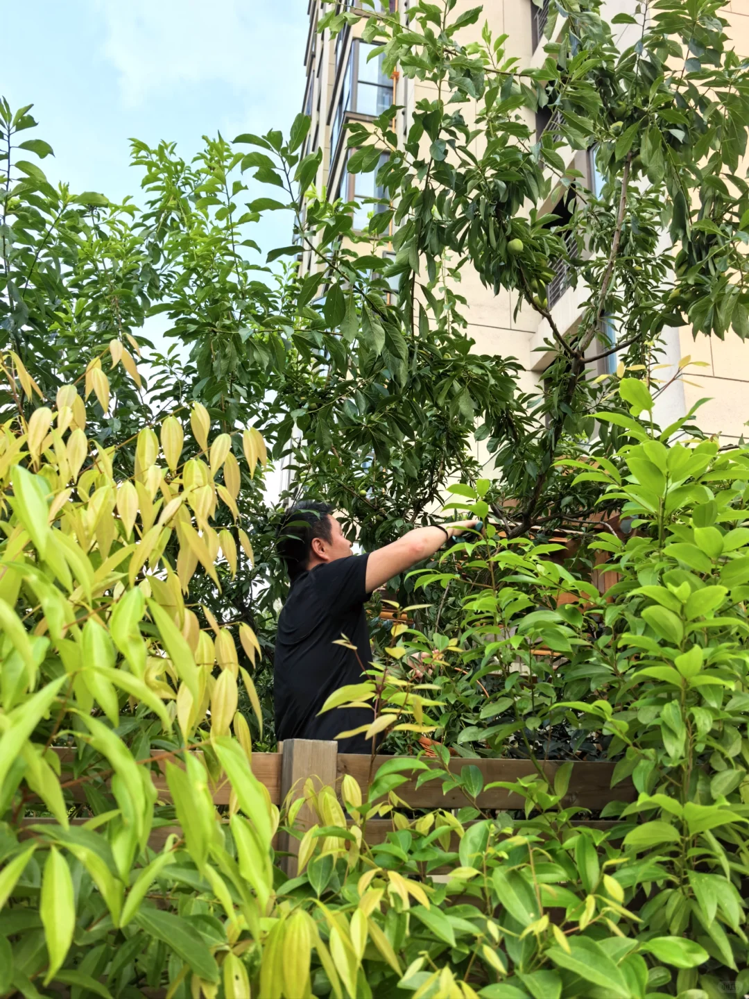 11层洋房一楼带院，数万网友的梦中情房🏠