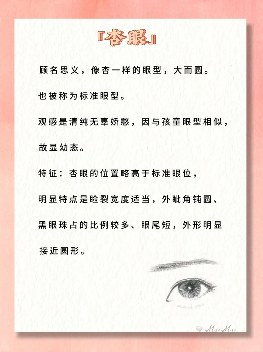 小说常见的11种眼睛类型🔥图解❗写作素材