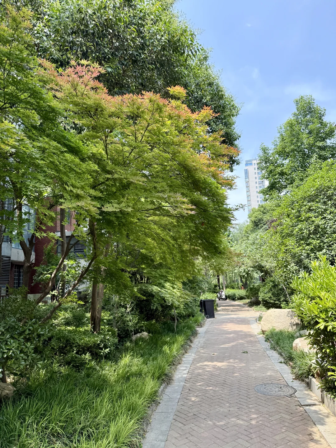 入住一年，感受老洋房的春夏秋冬