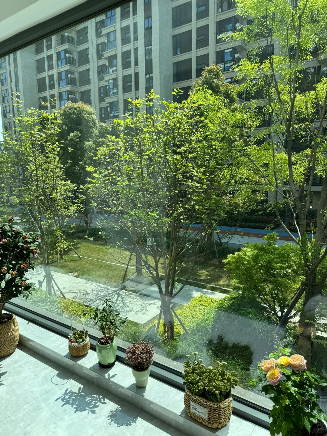 谁说买二楼不好呢……👀🌿