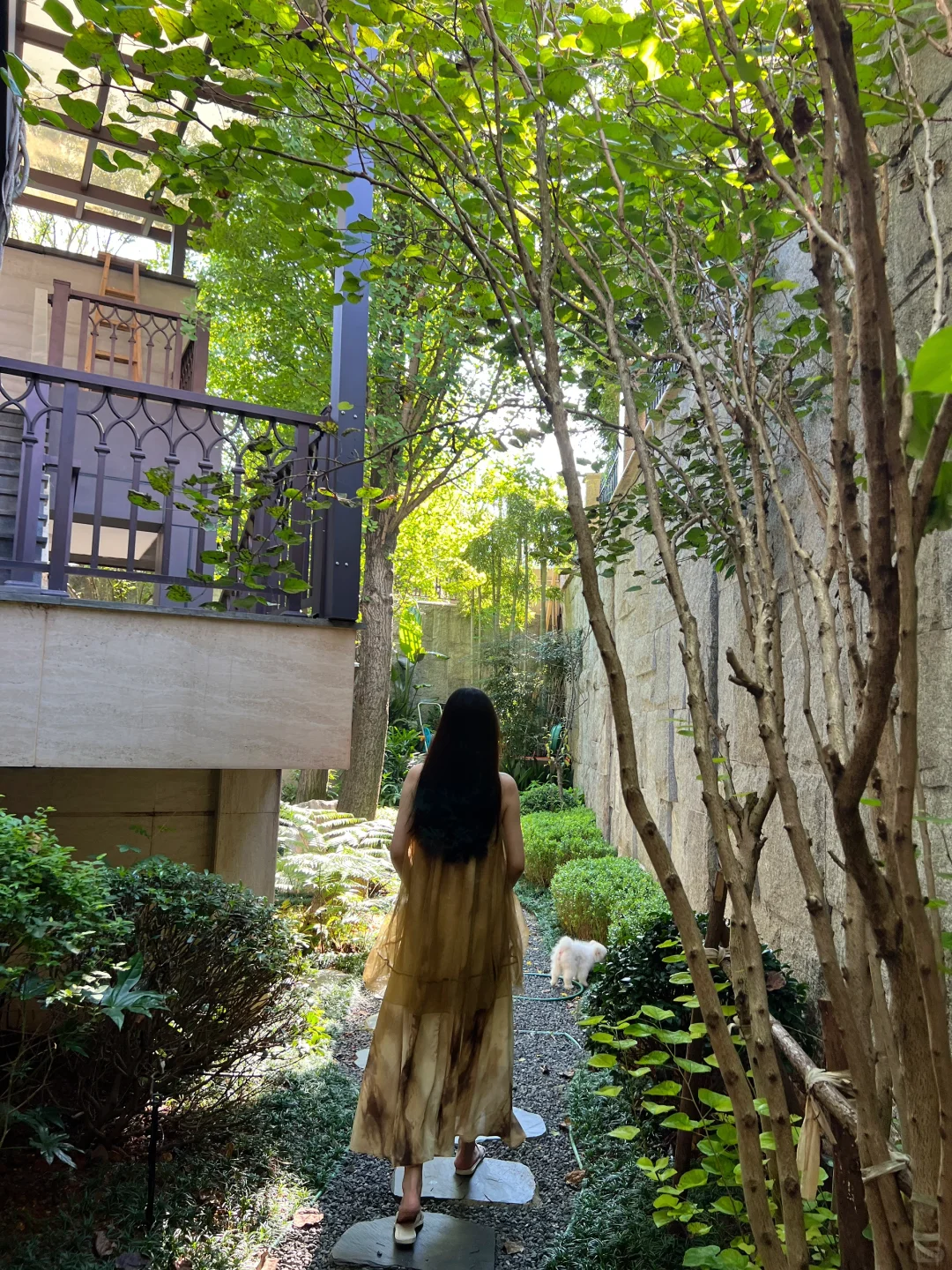 我家庭院的年度18图🏡