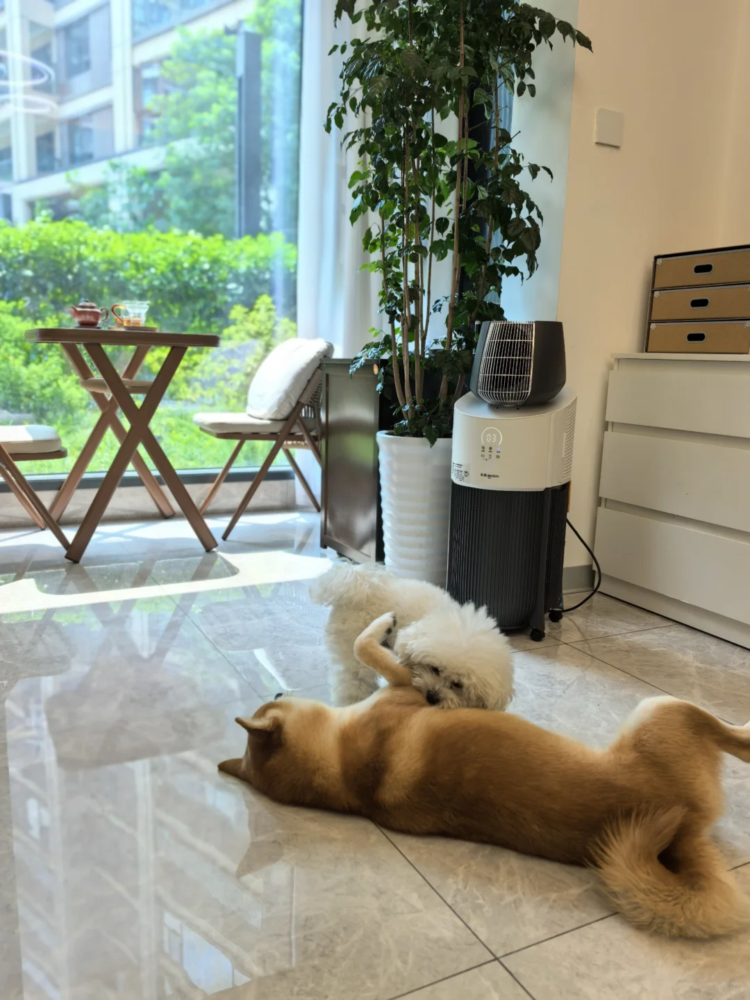 11层洋房一楼带院，数万网友的梦中情房🏠