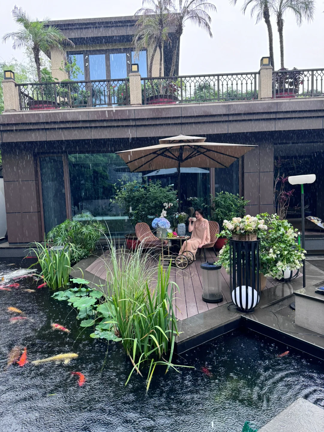 我家庭院的年度18图🏡