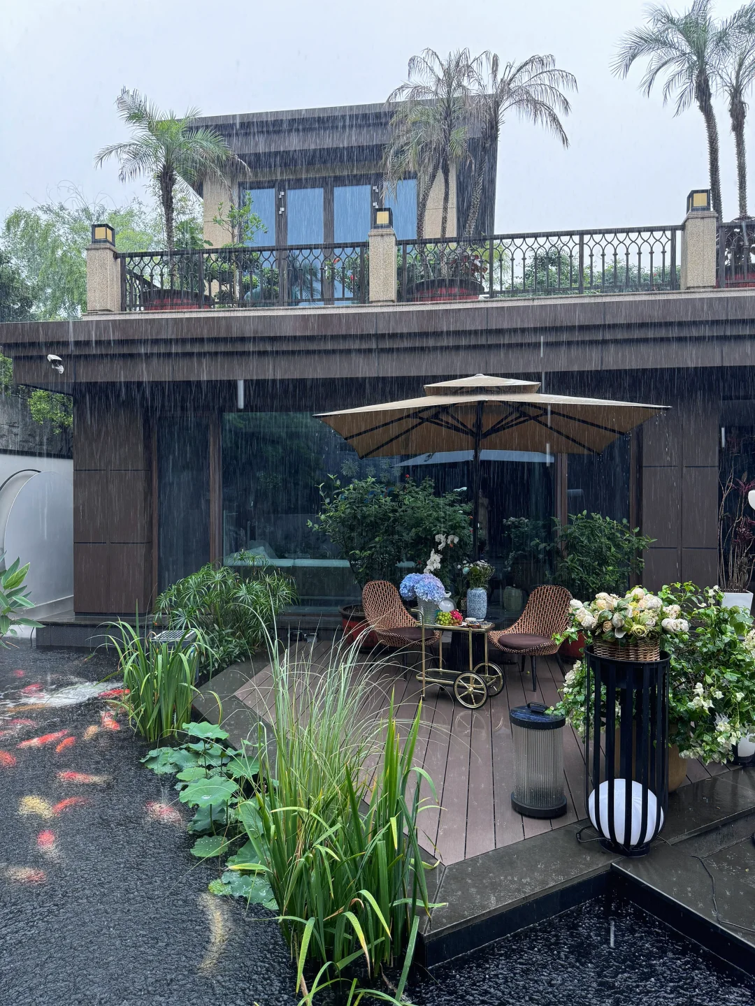我家庭院的年度18图🏡
