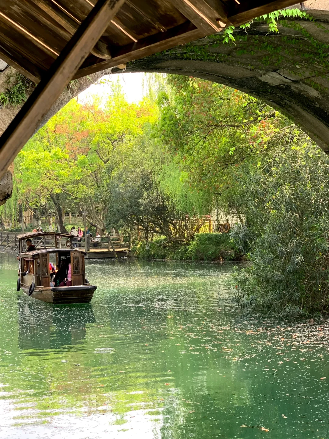 “待到夏日有蝉鸣，与君共赴真江南”
