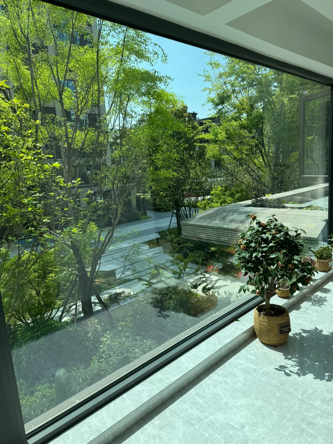 谁说买二楼不好呢……👀🌿