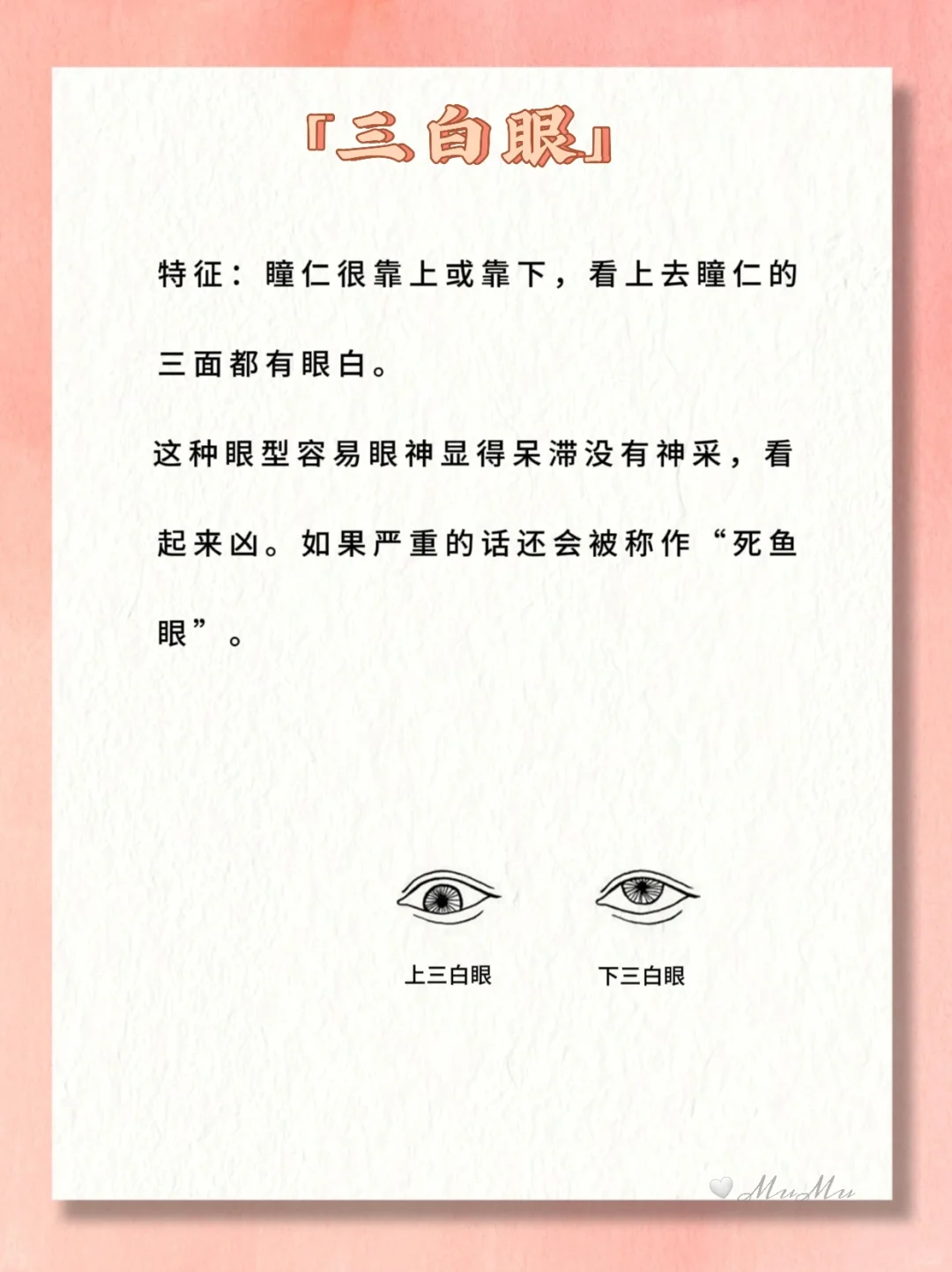 小说常见的11种眼睛类型🔥图解❗写作素材