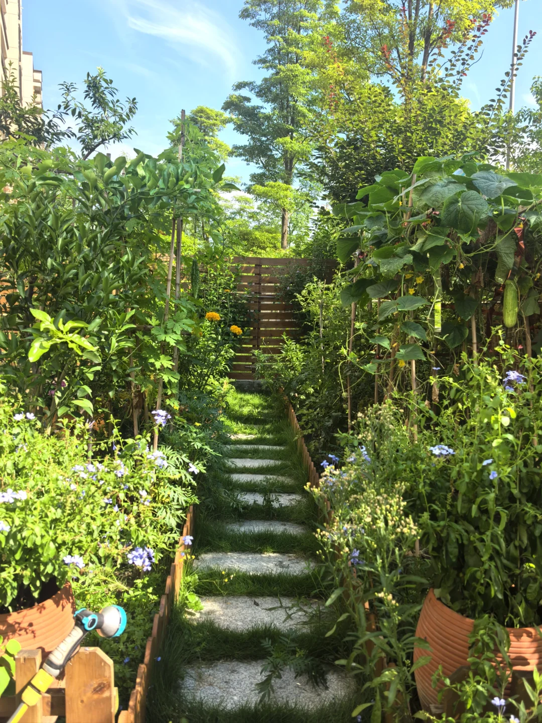 11层洋房一楼带院，数万网友的梦中情房🏠