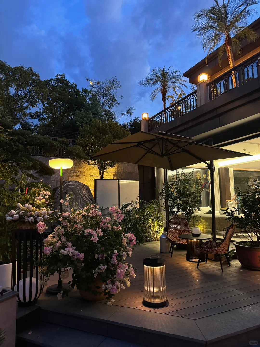我家庭院的年度18图🏡