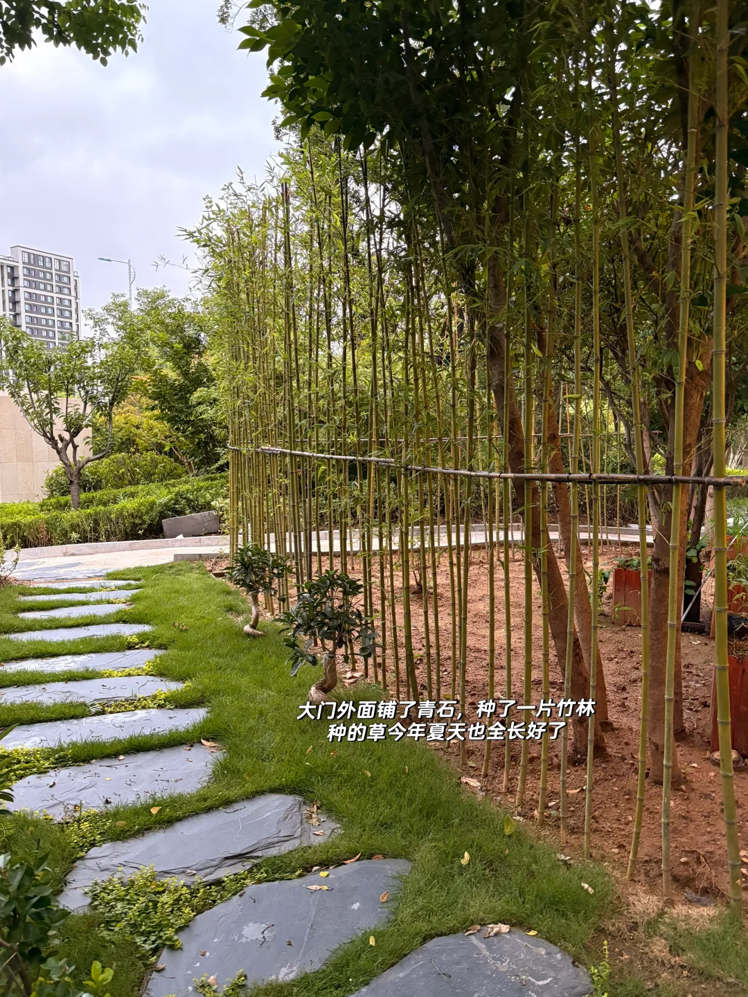 一楼带院的仲夏夜之梦，入住后人生没有烦恼