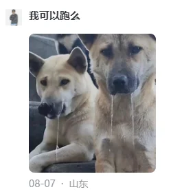 哈哈哈哈，临下班划个水被知乎的人才笑死了