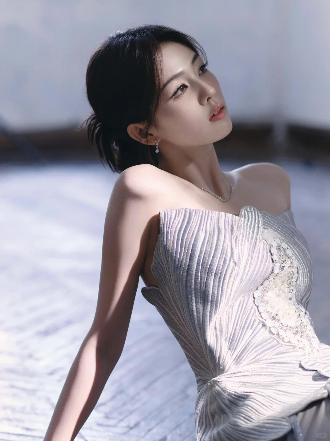白鹿写真集