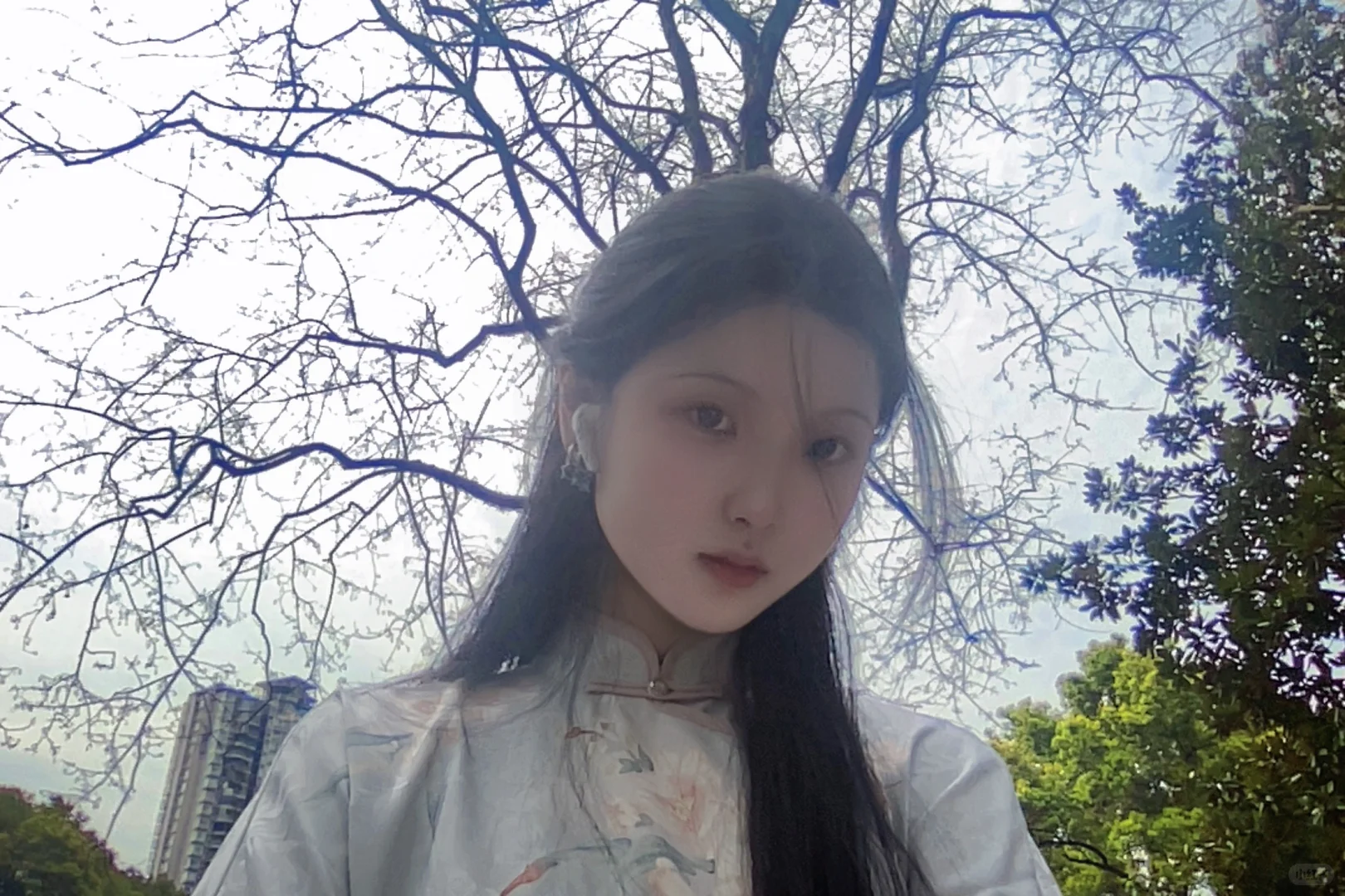 川黛 一曲紫鸢 旗袍