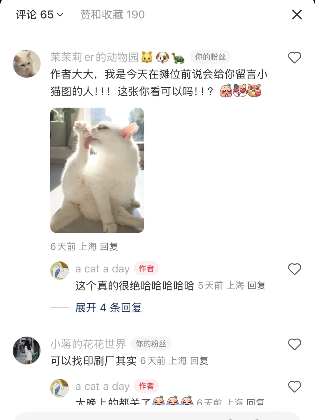 一日一猫•第160日 原来猫可以妖娆成这样
