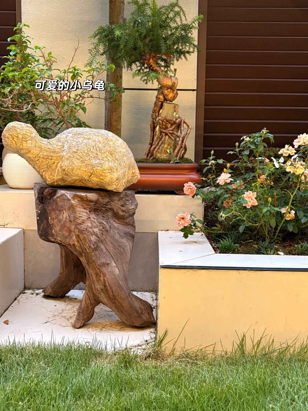 一楼带院的仲夏夜之梦，入住后人生没有烦恼