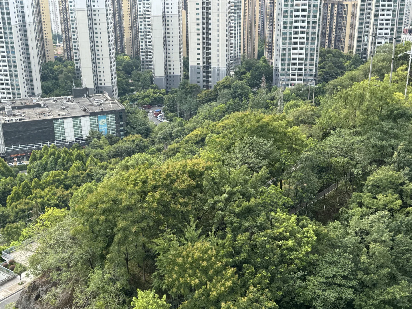 业主自己卖房，九龙坡华岩半山轻轨站