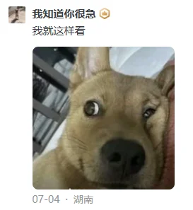 哈哈哈哈，临下班划个水被知乎的人才笑死了