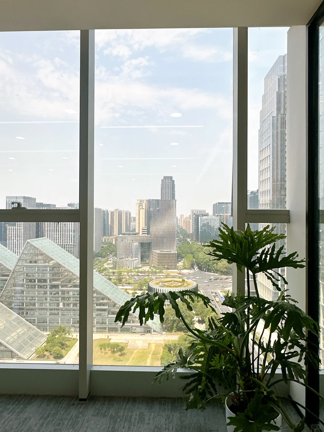 被公司新办公区美到！打工人狂喜🥳