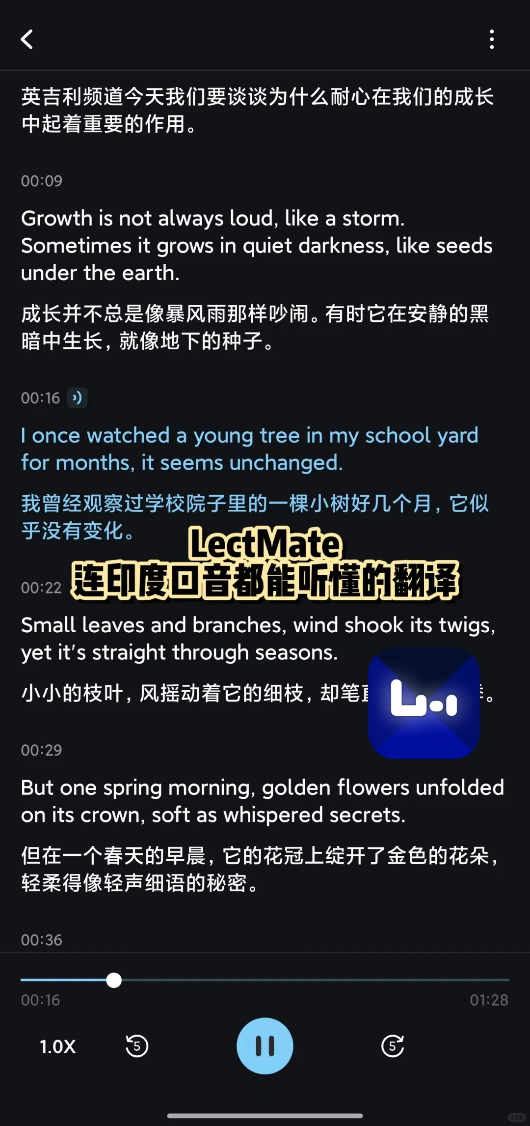 🌍欧洲交换生必备这4个APP