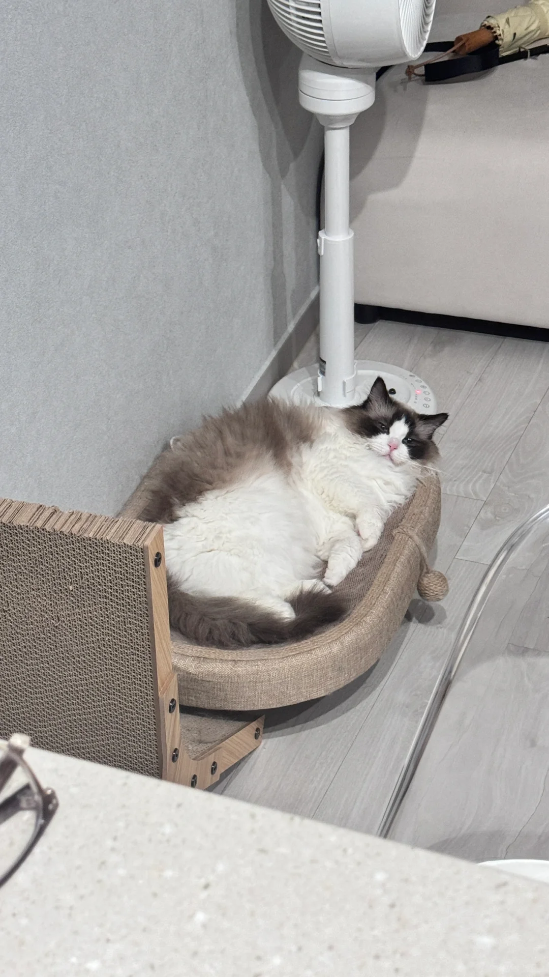 首尔🇰🇷东大门/明洞的温馨公寓拼住