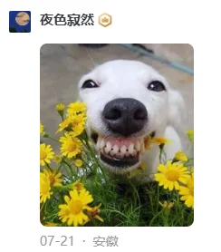 哈哈哈哈，临下班划个水被知乎的人才笑死了