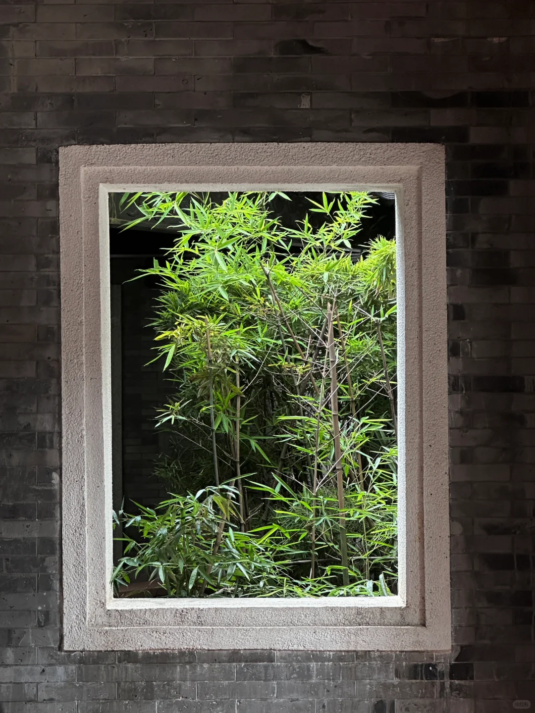 🍃人间枝头 各自乘流 ｜ 广州文化馆