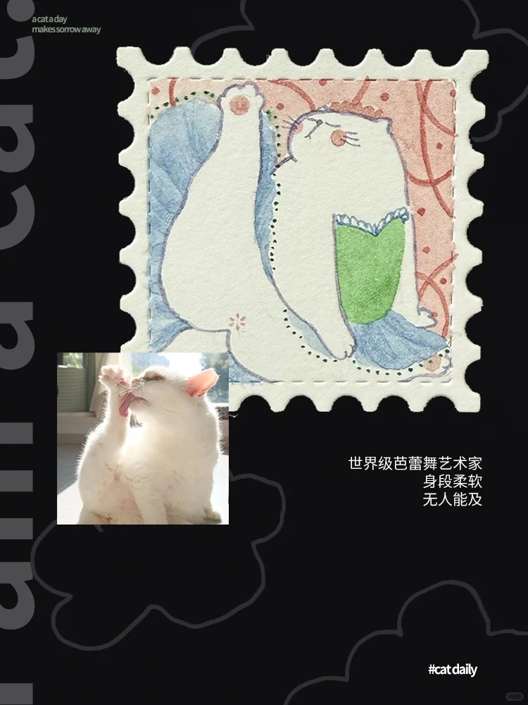 一日一猫•第160日 原来猫可以妖娆成这样