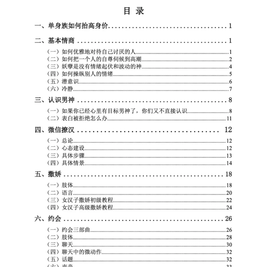 恋爱指南：撩汉手册