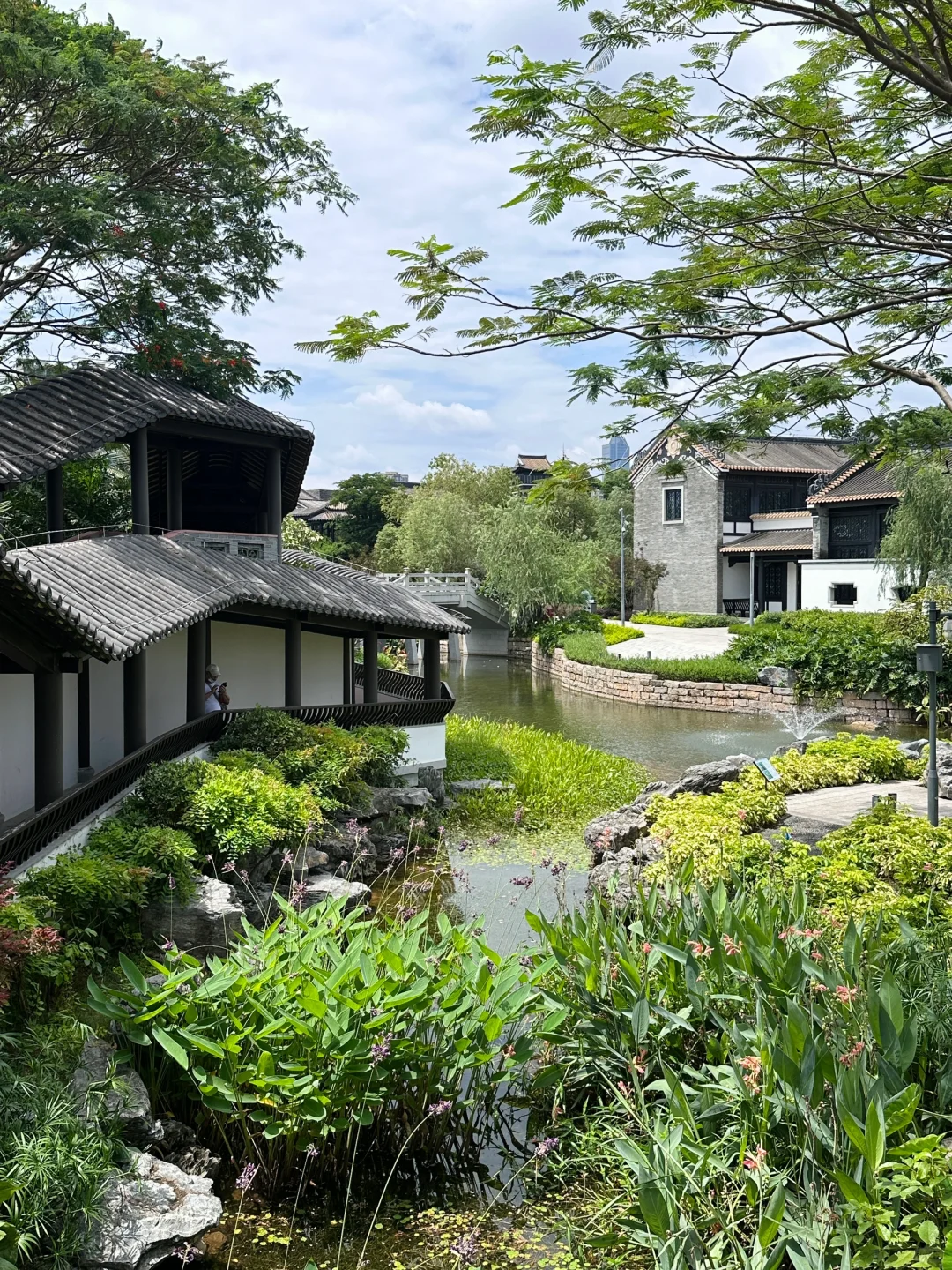 🍃人间枝头 各自乘流 ｜ 广州文化馆