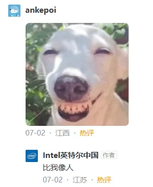 哈哈哈哈，临下班划个水被知乎的人才笑死了