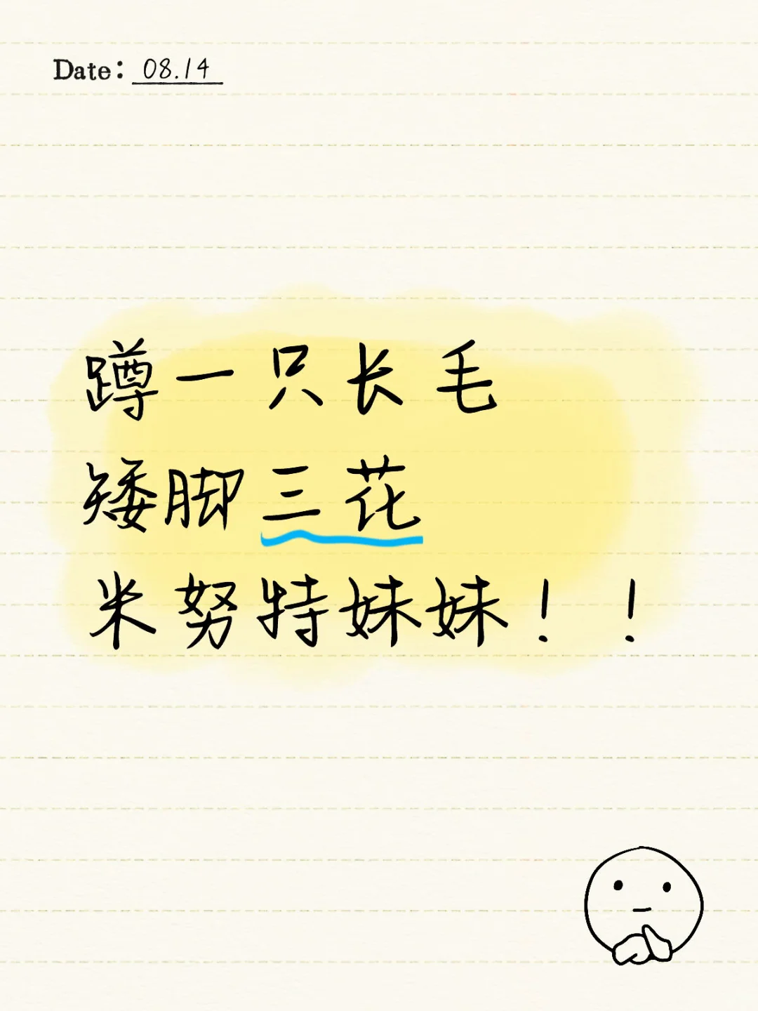蹲一只三花米努特妹妹！！