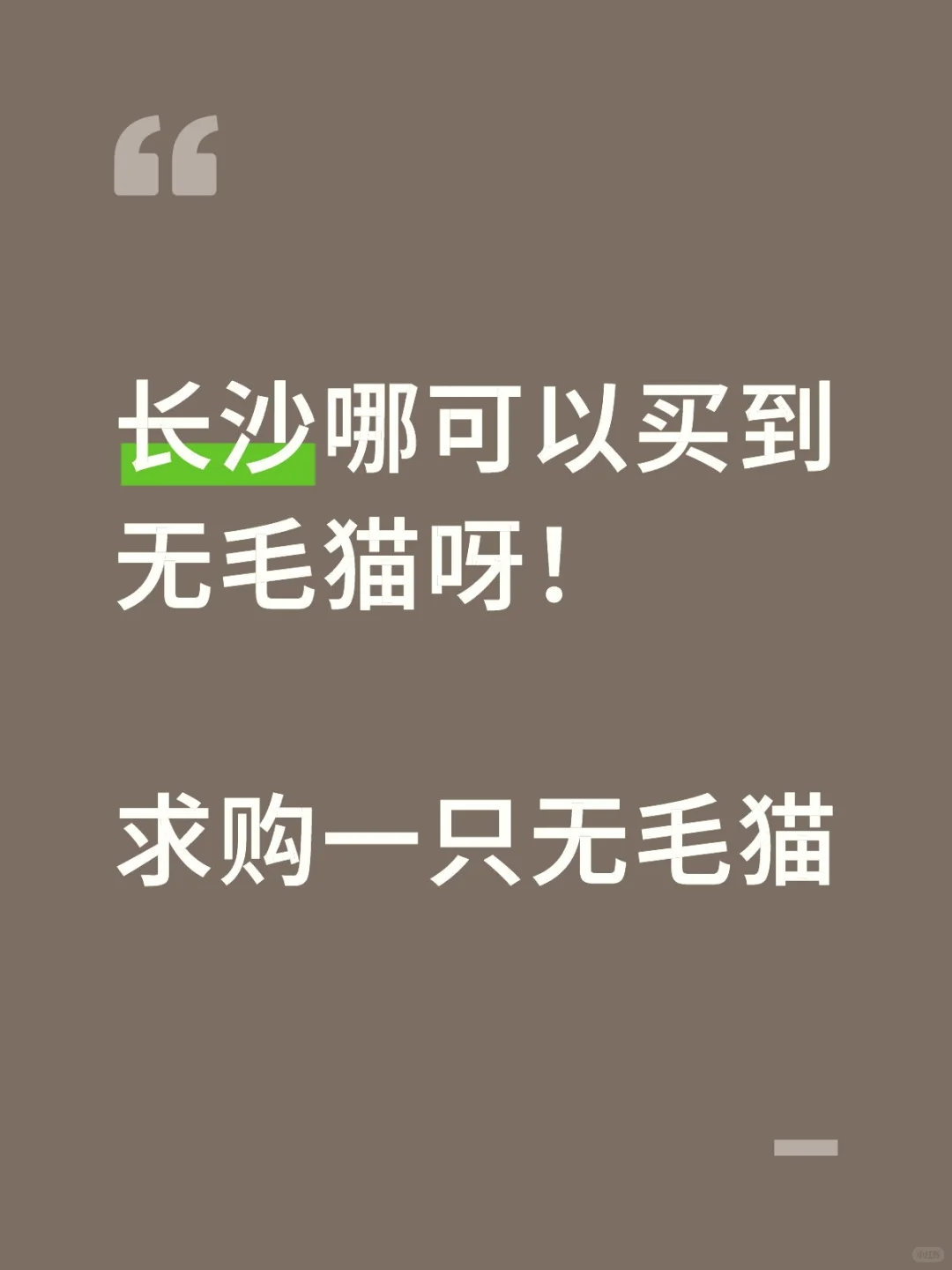 咋感觉长沙养无毛猫的人很少