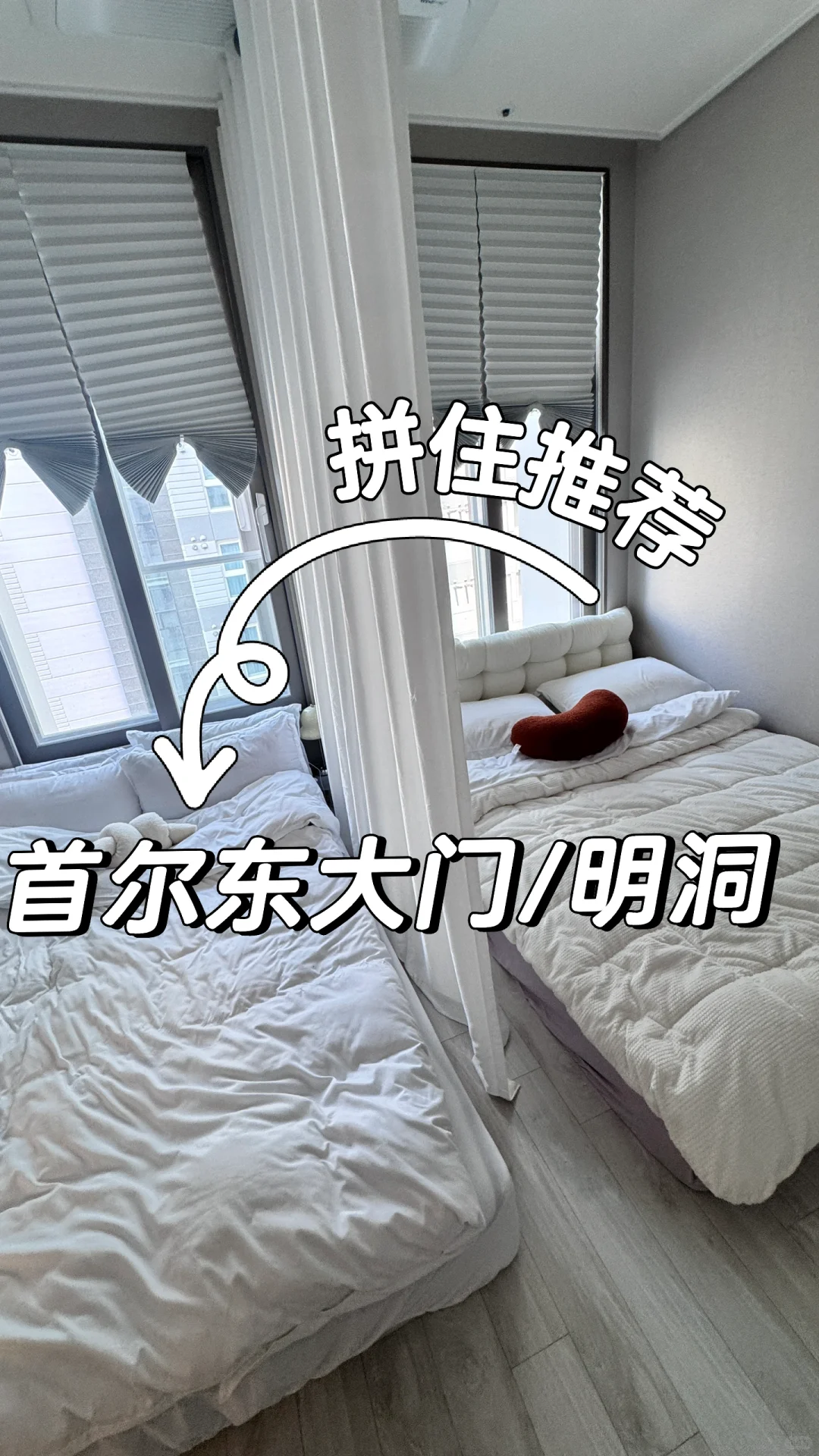 首尔🇰🇷东大门/明洞的温馨公寓拼住