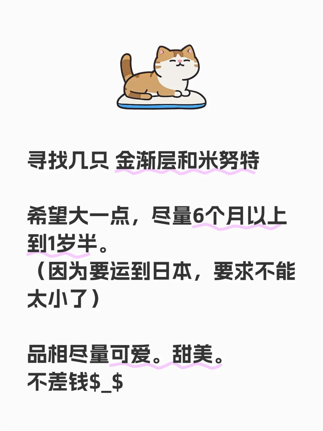 有没有金渐层 和米努特