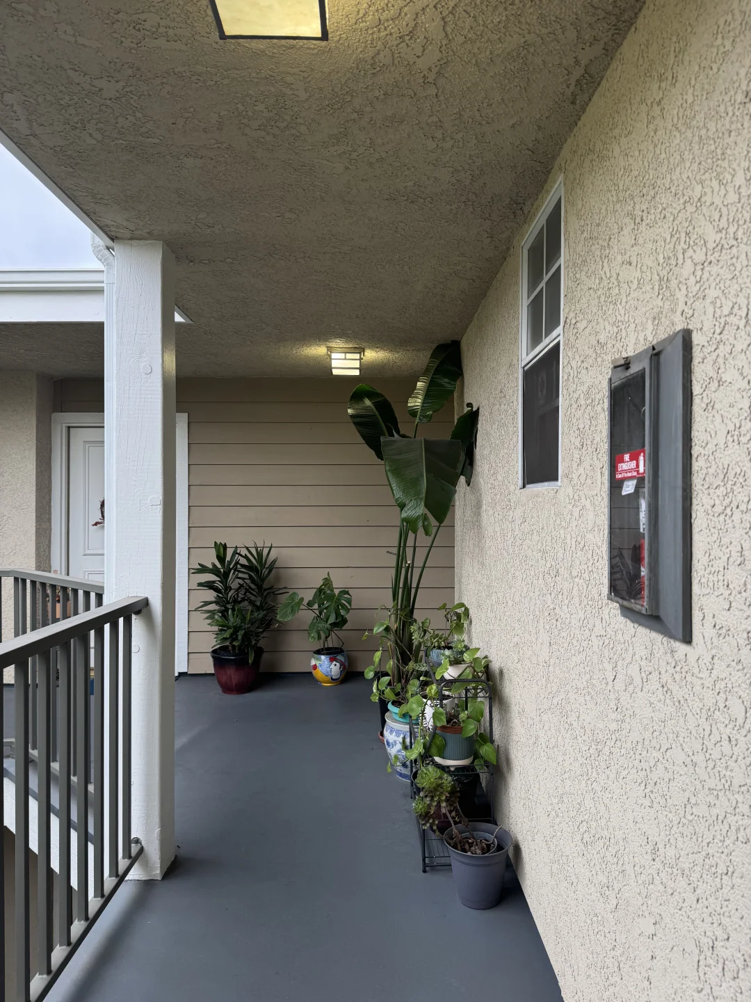 洛杉矶 Culver city/Palm 找室友