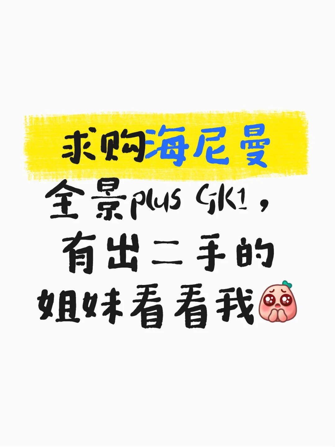 求购海尼曼全景plus GK1