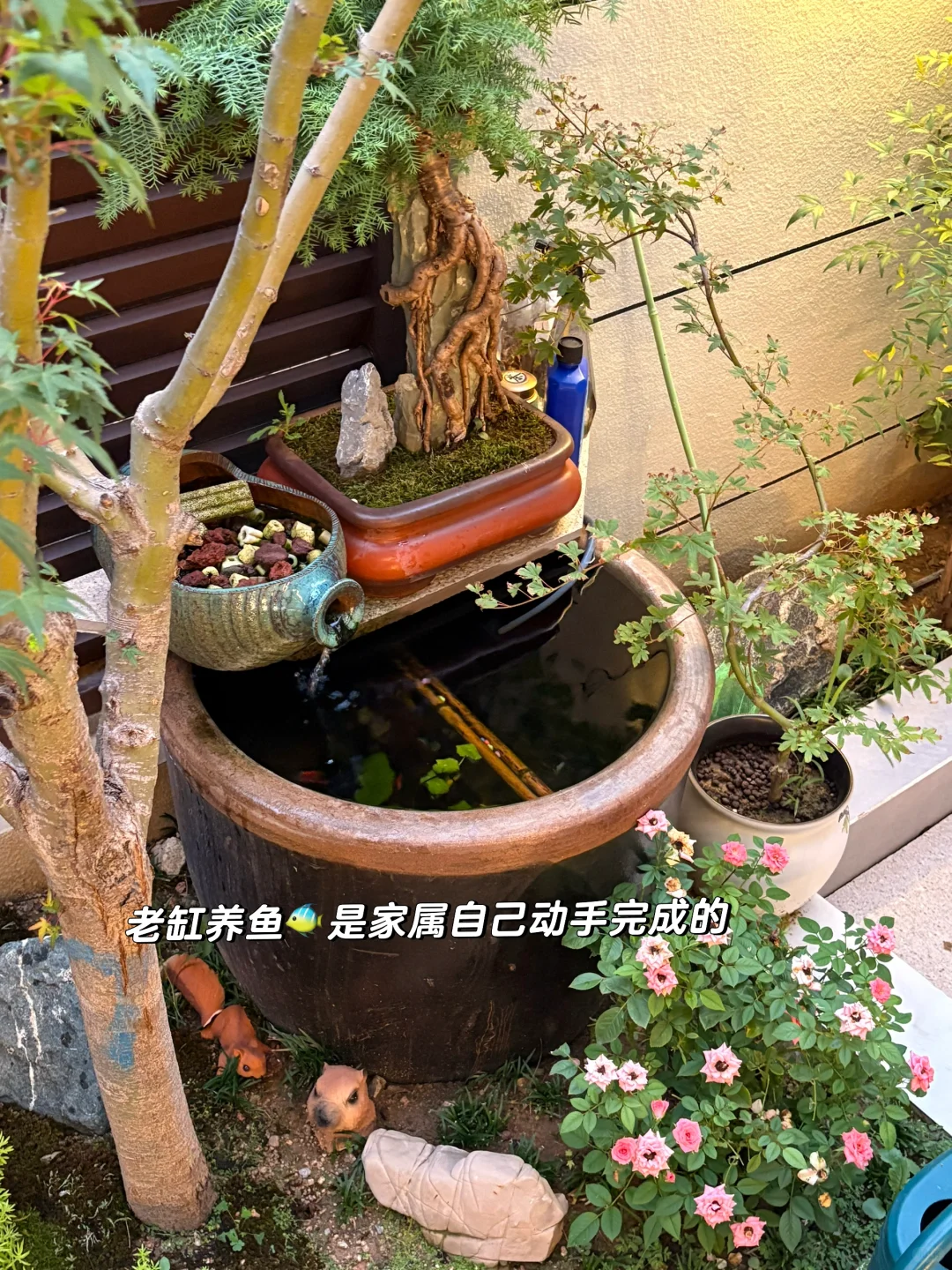 一楼带院的仲夏夜之梦，入住后人生没有烦恼