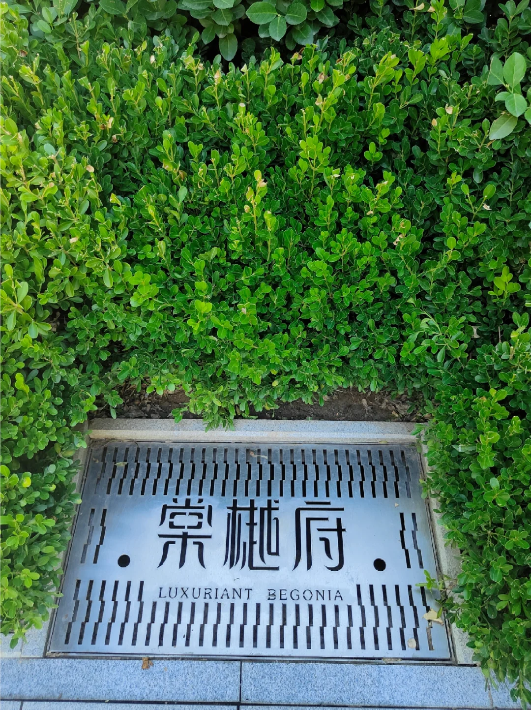 终于买到理想中的家咯~