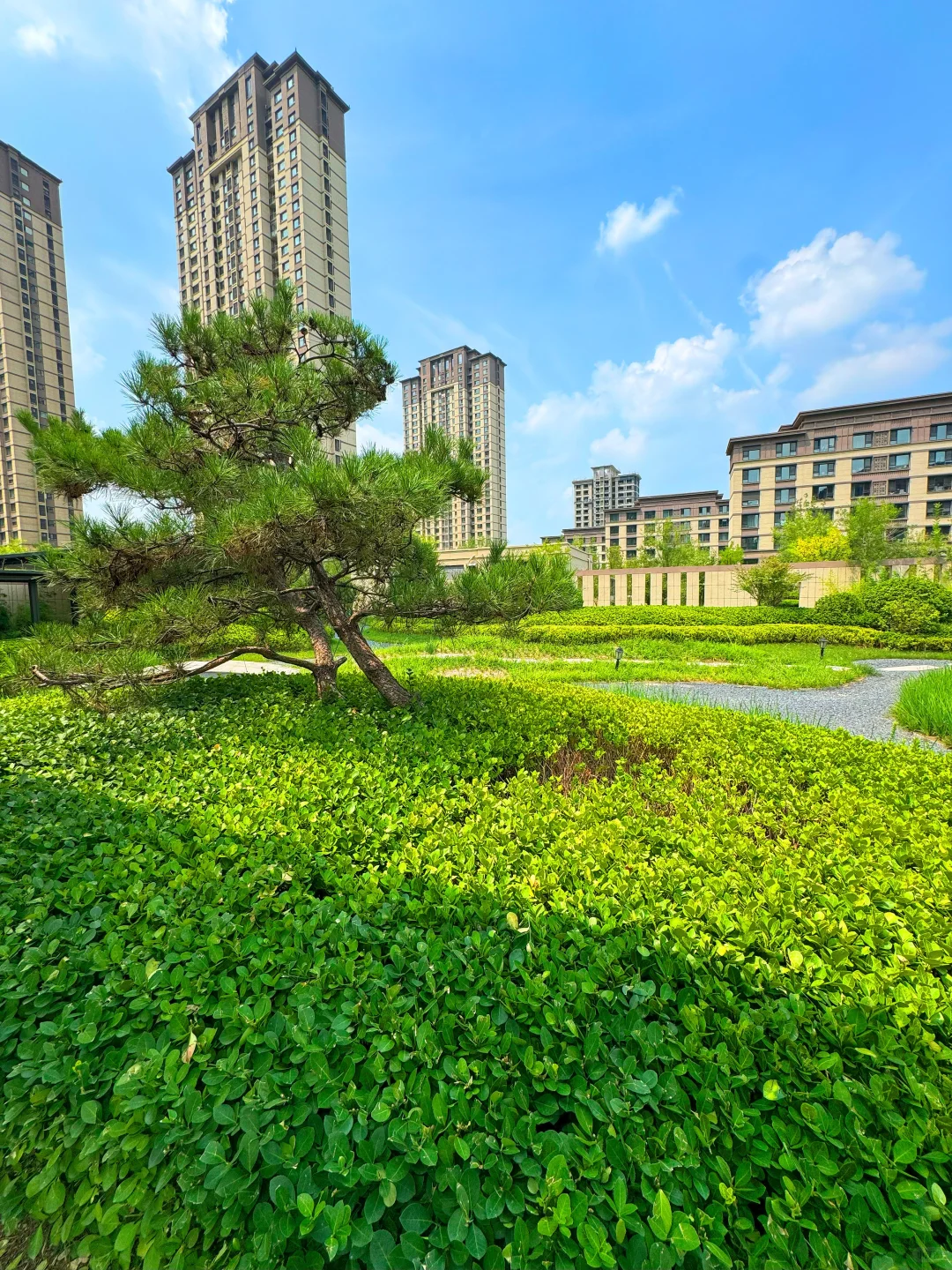 运河畔的理想居所✨ 七层电梯洋房🏡