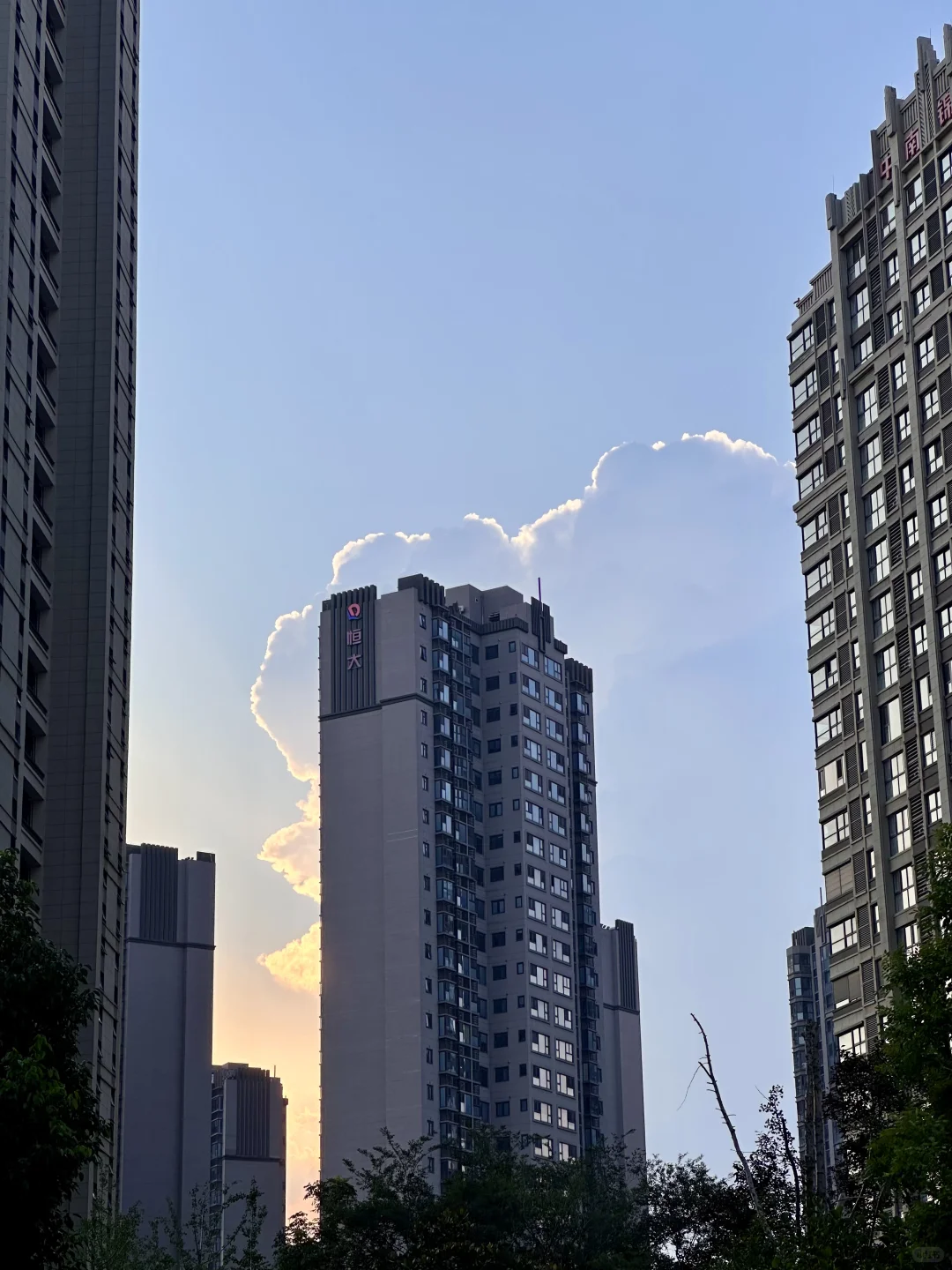 小行中南锦苑，普通人的家，因阳光而温馨☀️