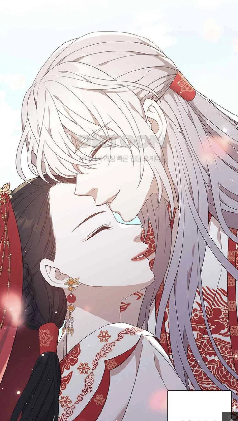 魅惑狐狸终于看完了