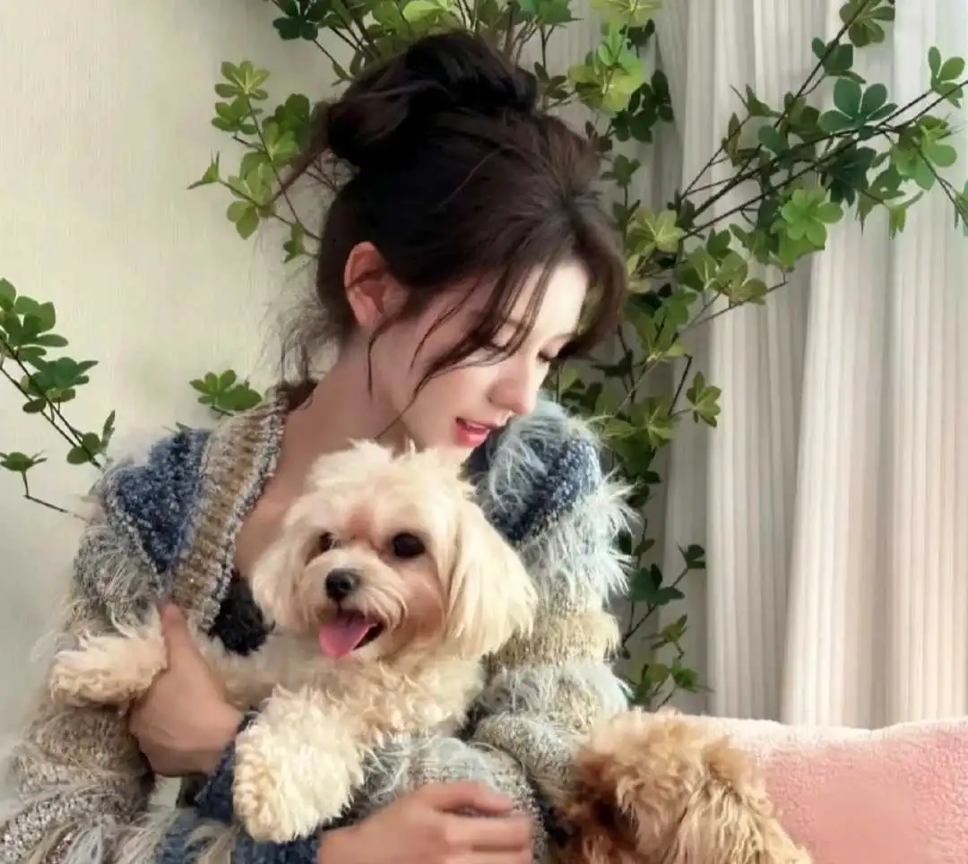明艳大美人养成tips，张予曦