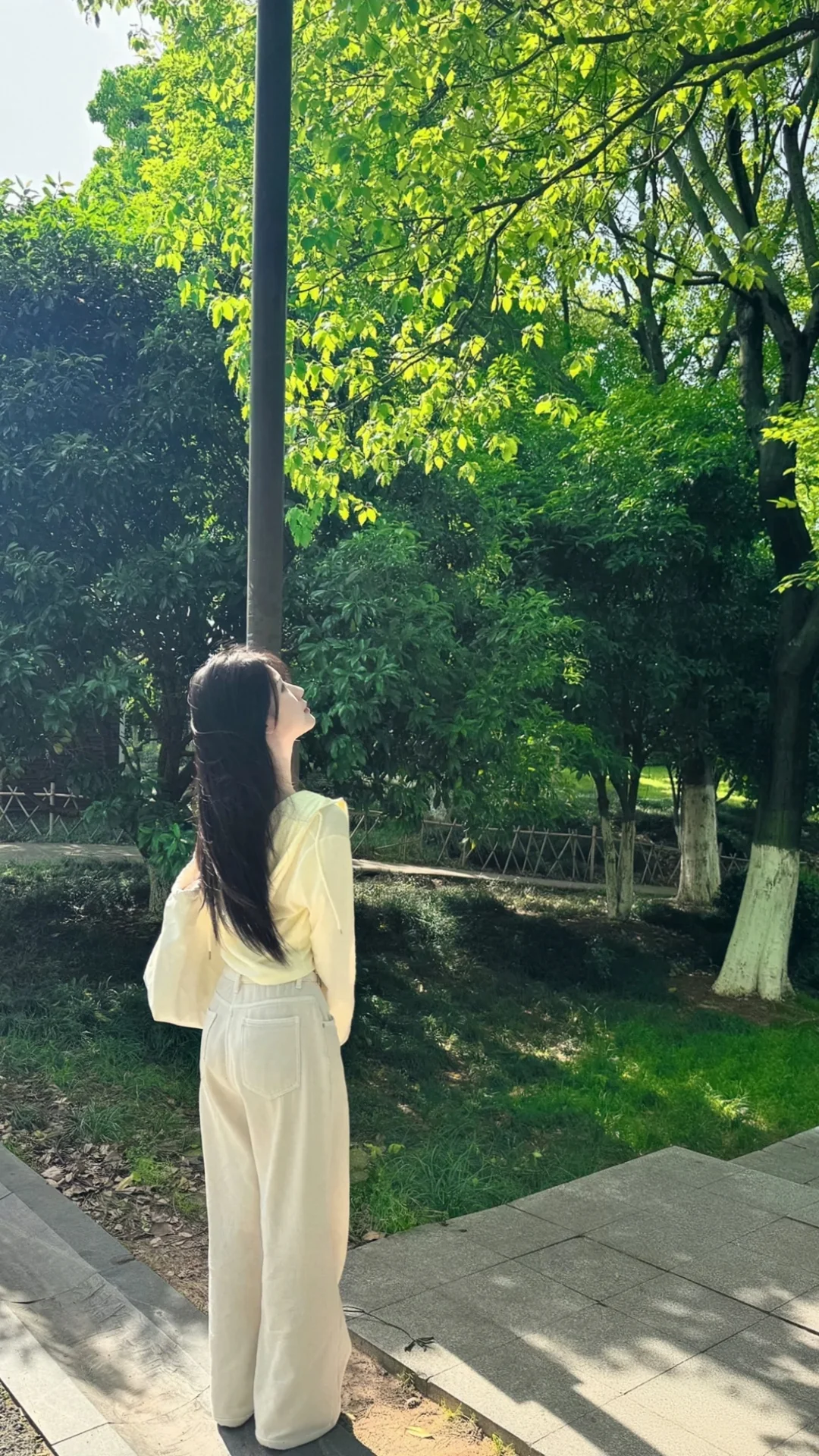 深圳龙岗