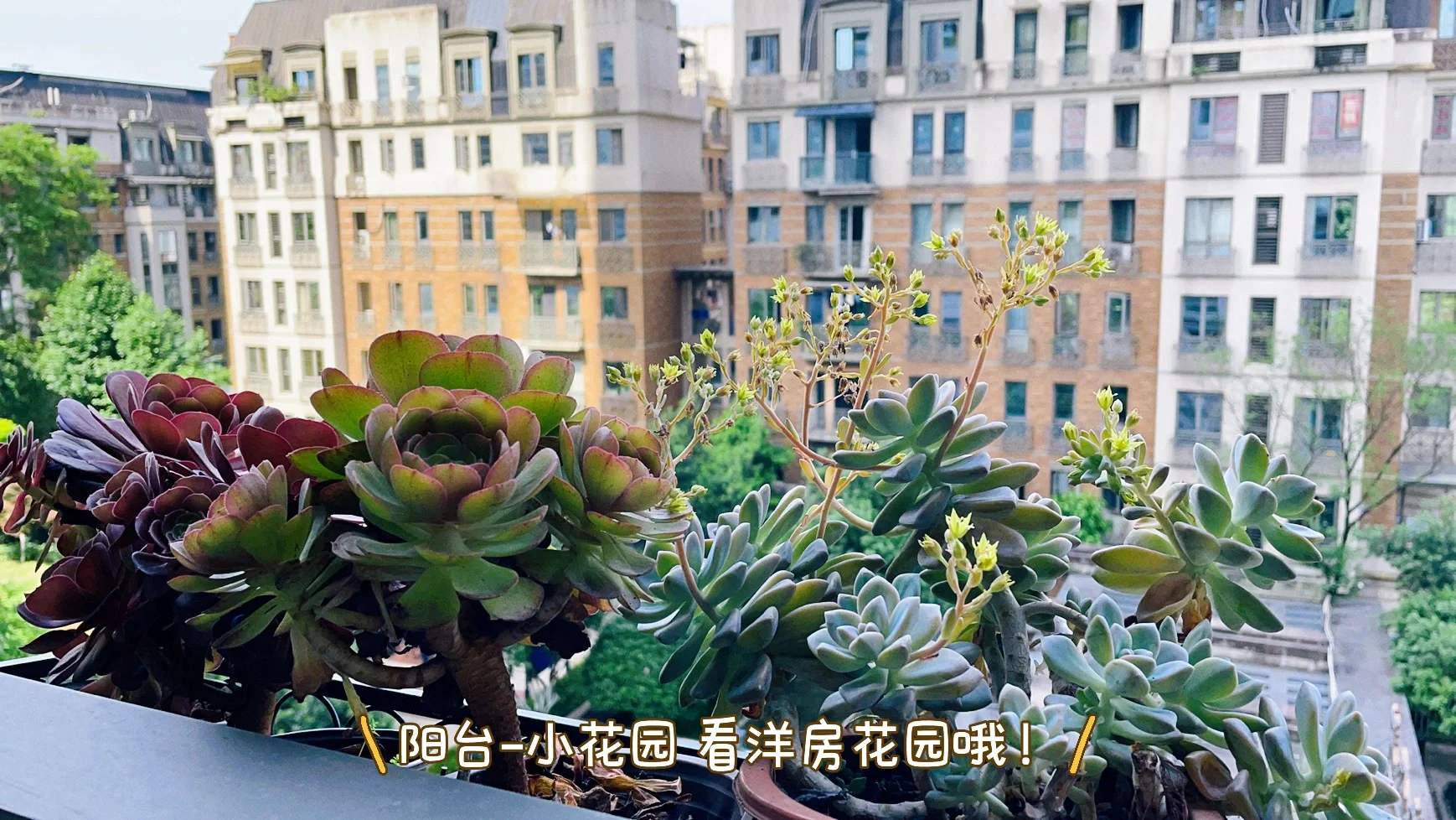 断舍离～出售自住房源，欢迎实地看房！