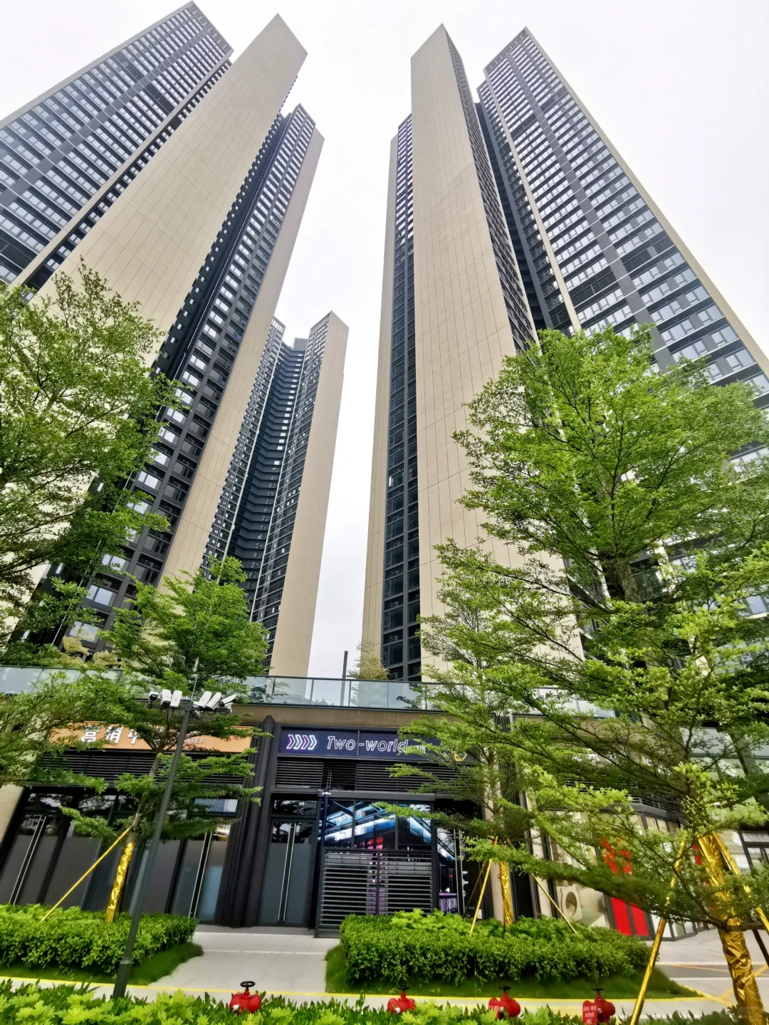 恭喜还没在光明买房的等等党们，你们赢了