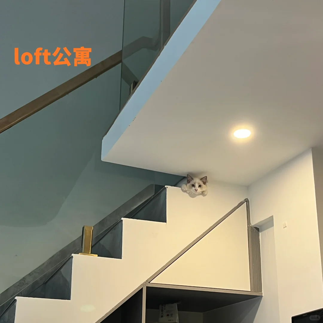 公寓选平层还是loft，看完会有答案！