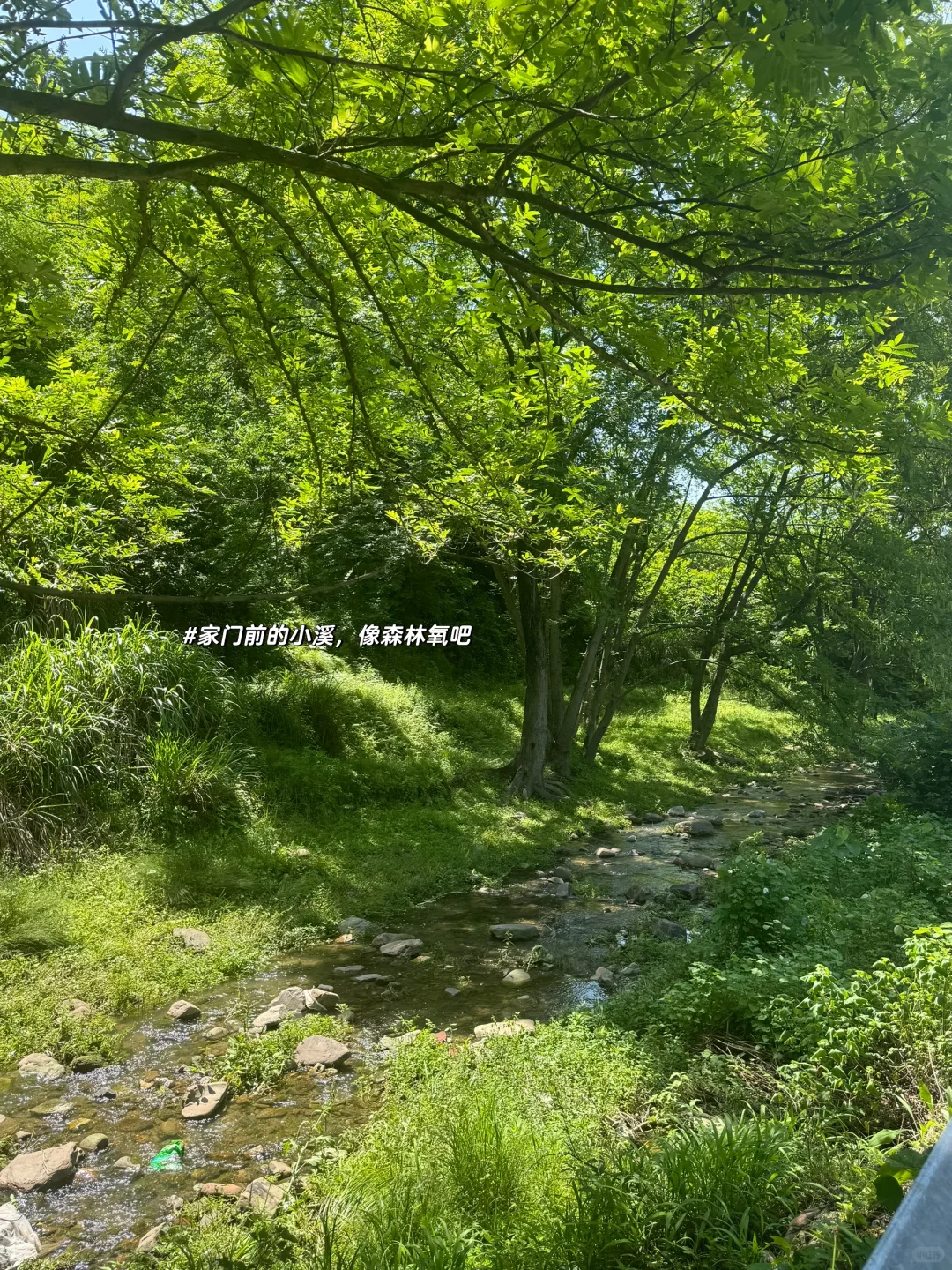 00后女孩的家🏠/家就是我的能量场