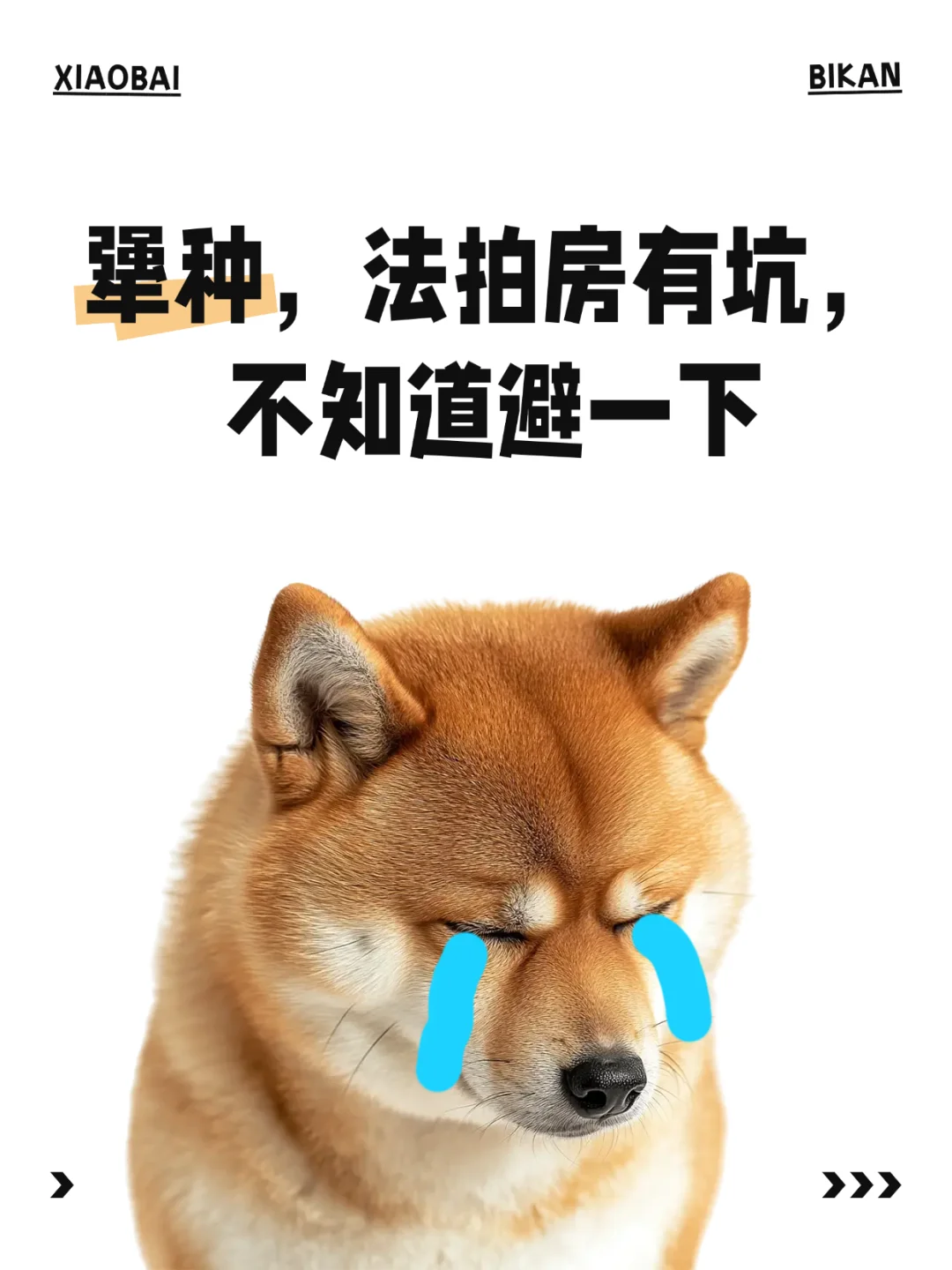 ⚠️犟种们！法拍房的坑能避一个是一个！